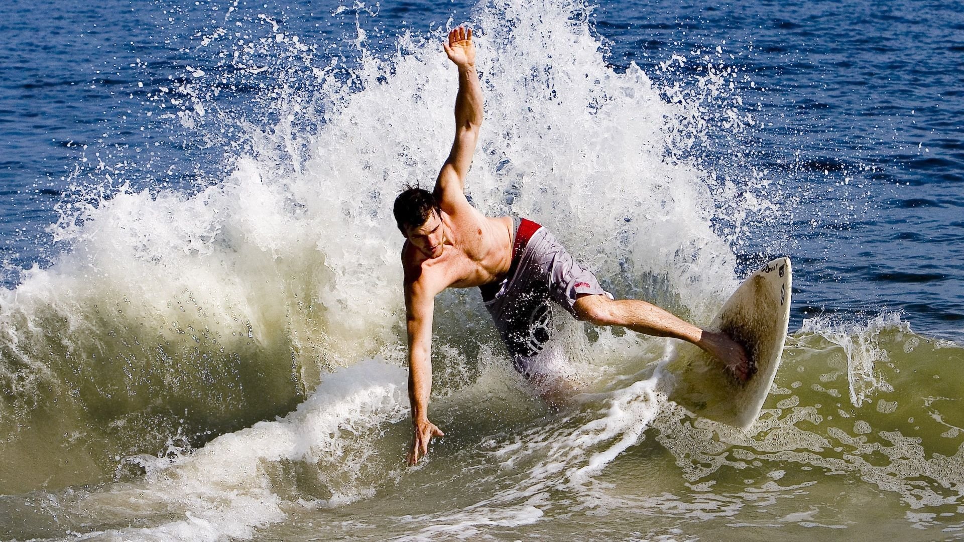 飞盘狗障碍赛 宠物与主人默契程度决定成绩